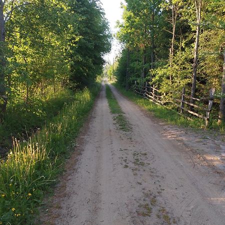 Domek Gajowy Białowieża Zewnętrze zdjęcie